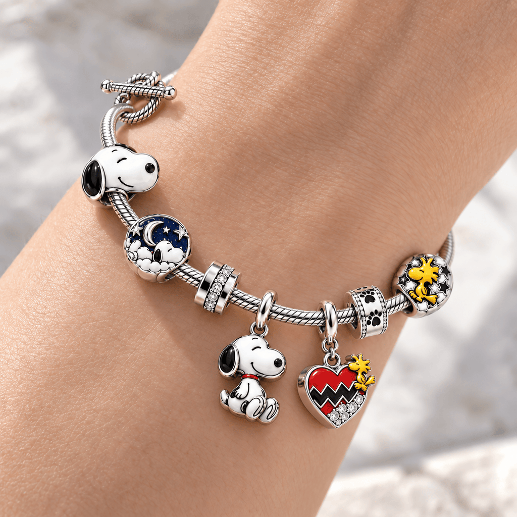 SPNY Silver Charm Bracelet Set NTTB